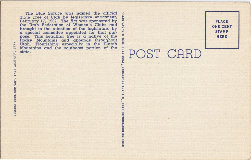 Blue Spruce Utah's State Tree Vintage Postcard Back
