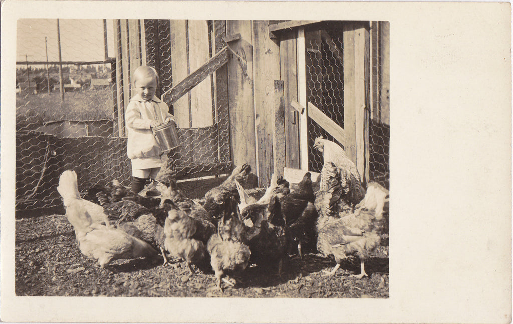 Edwardian Boy Feeding Chickens RPPC
