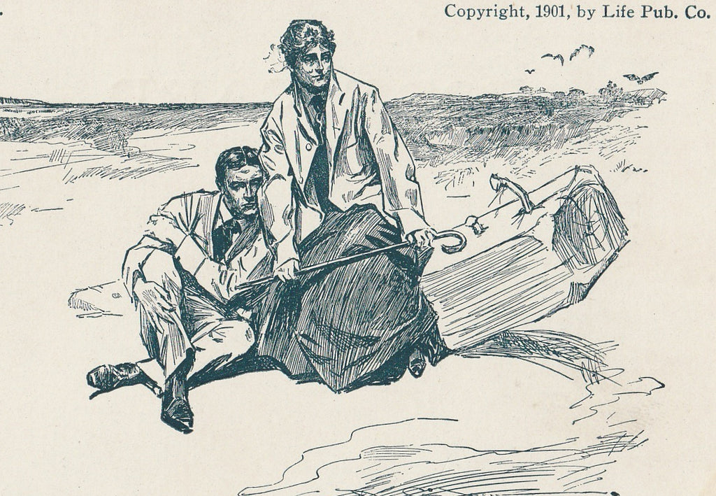 Case FOR SPCA Charles Dana Gibson Postcard Close Up