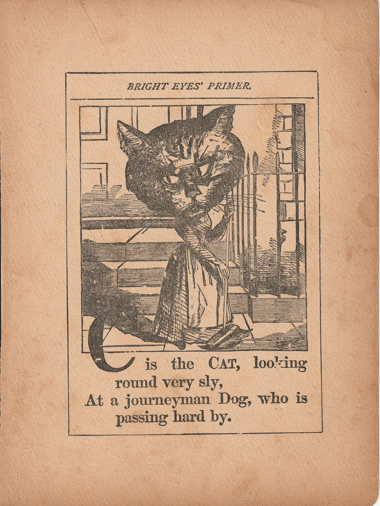 C is the Cat - D is the Dog - Bright Eyes' Primer - Victorian Book Illustration - Print, c 1886