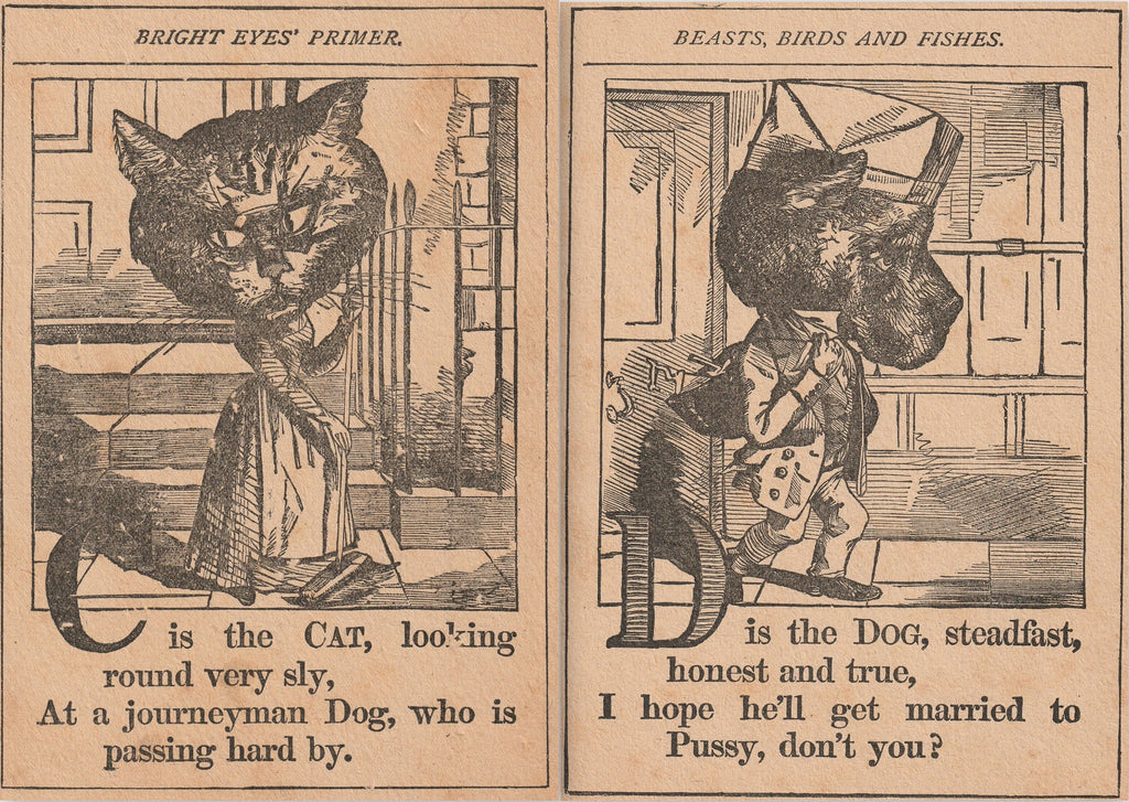 C is the Cat - D is the Dog - Bright Eyes' Primeer - Victorian Book Illustration - Print, c 1886