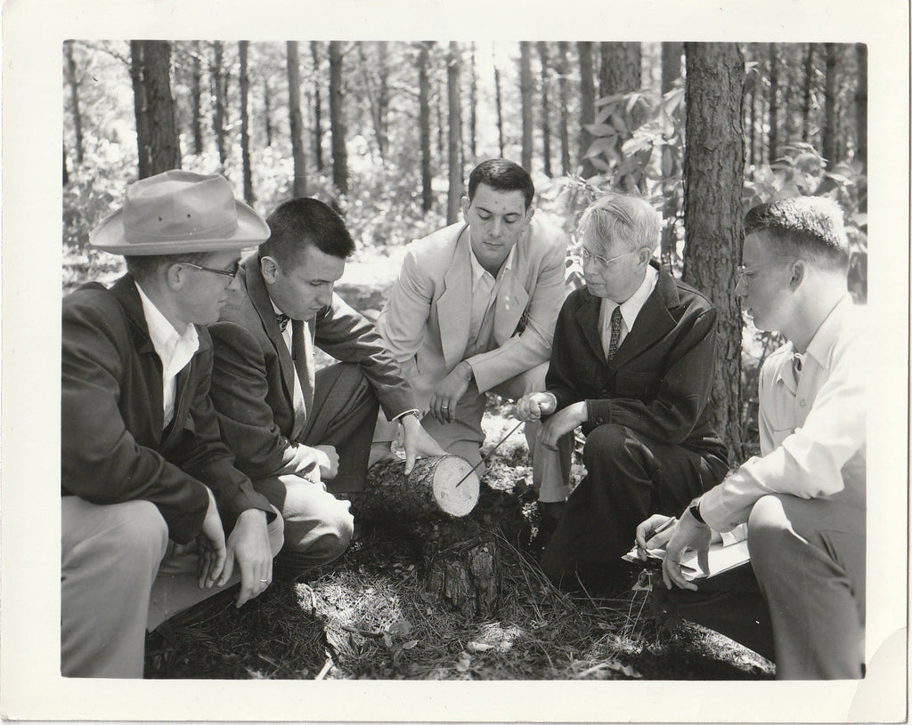 Counting Tree Rings - Forestry Department - University of Minnesota - St. Paul, MN - Snapshot, c. 1940s