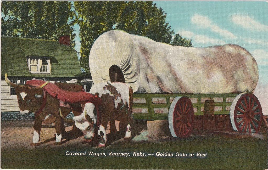 Golden Gate or Bust Covered Wagon Kearney NE Postcard Color