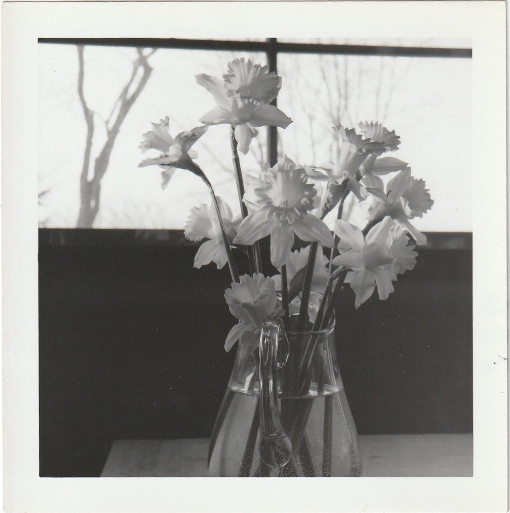 Daffodils in Vase - SET of 2- Snapshots, c. 1960s