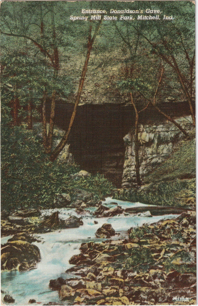 Donaldson's Cave Spring Mill State Park Mitchell IN Postcard