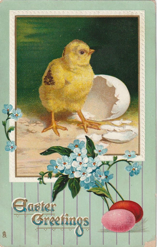 Easter Chick Hatchling Antique Postcard