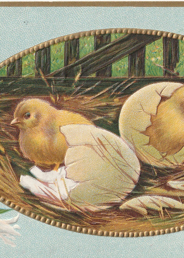 Easter Chicks in Nest Antique Postcard Close Up 2