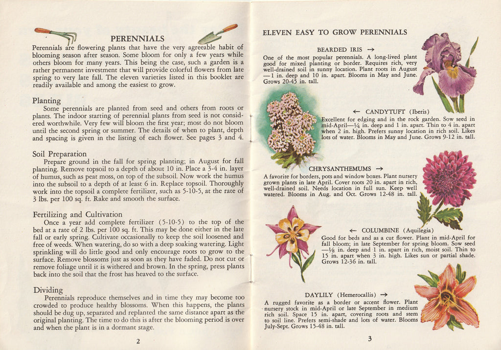 Enjoy the Beauty of Your Own Perrenials, Annuals, Bulbs - C. Julian Fish - Trautman, Bailey & Blampey - General Motors Information Rack Service - Booklet, c. 1963 Pg. 2-3