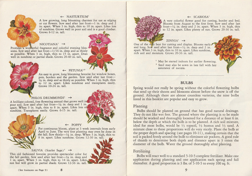 Enjoy the Beauty of Your Own Perrenials, Annuals, Bulbs - C. Julian Fish - Trautman, Bailey & Blampey - General Motors Information Rack Service - Booklet, c. 1963 Pg. 8-9