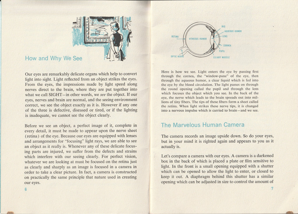 Eyes, Our Windows to the World - Better Light Better Sight Bureau - Booklet, c. 1950s Pg. 6-7