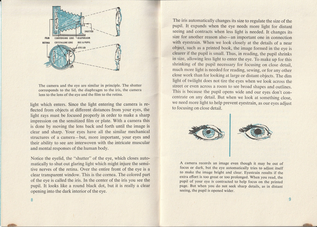 Eyes, Our Windows to the World - Better Light Better Sight Bureau - Booklet, c. 1950s Pg. 8-9