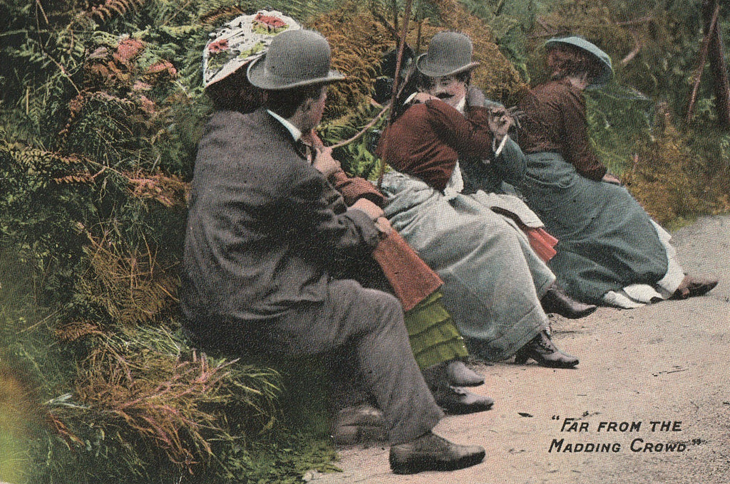 Far From the Maddening Crowds Antique Postcard Close Up