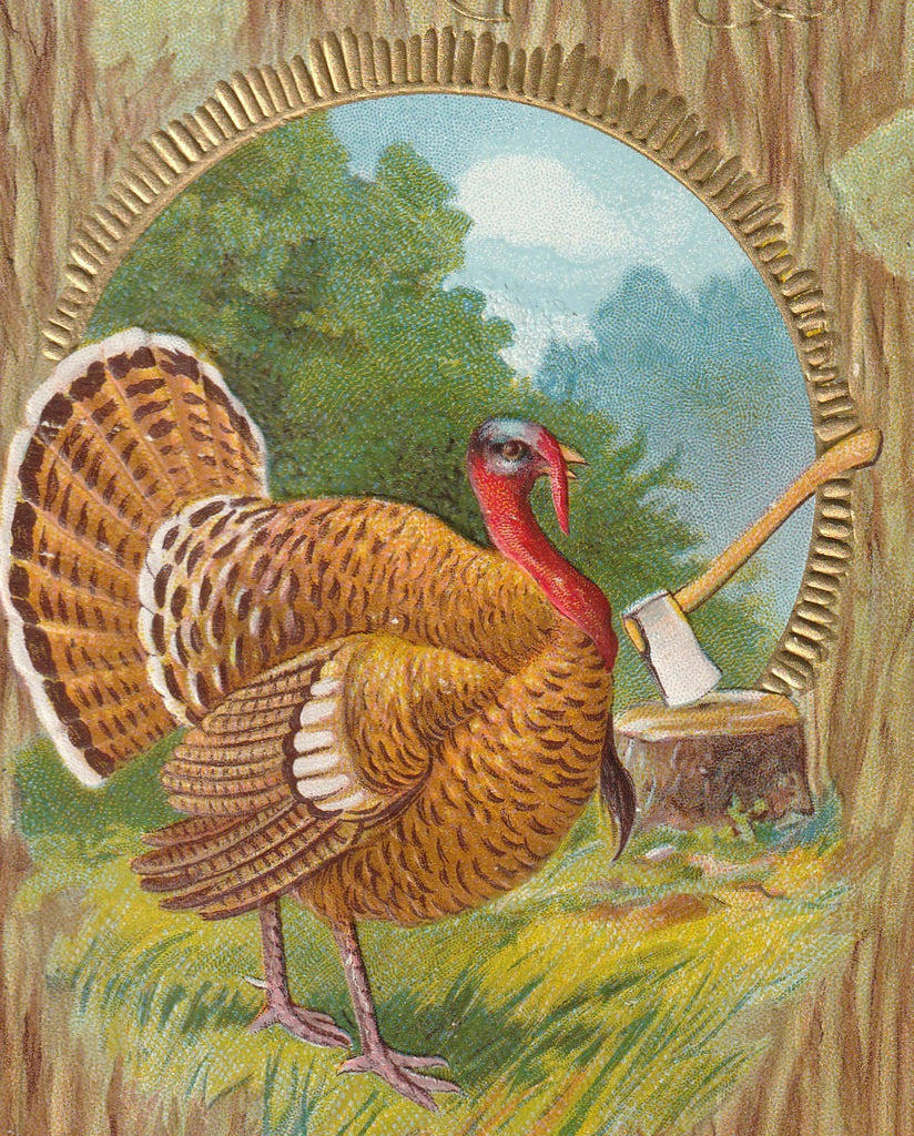 Fat Thanksgiving Turkey Postcard Close Up