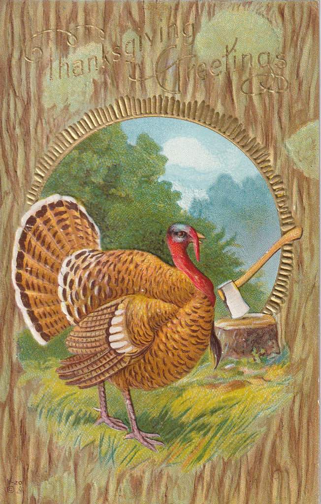 E Nash Thanksgiving Turkey Postcard