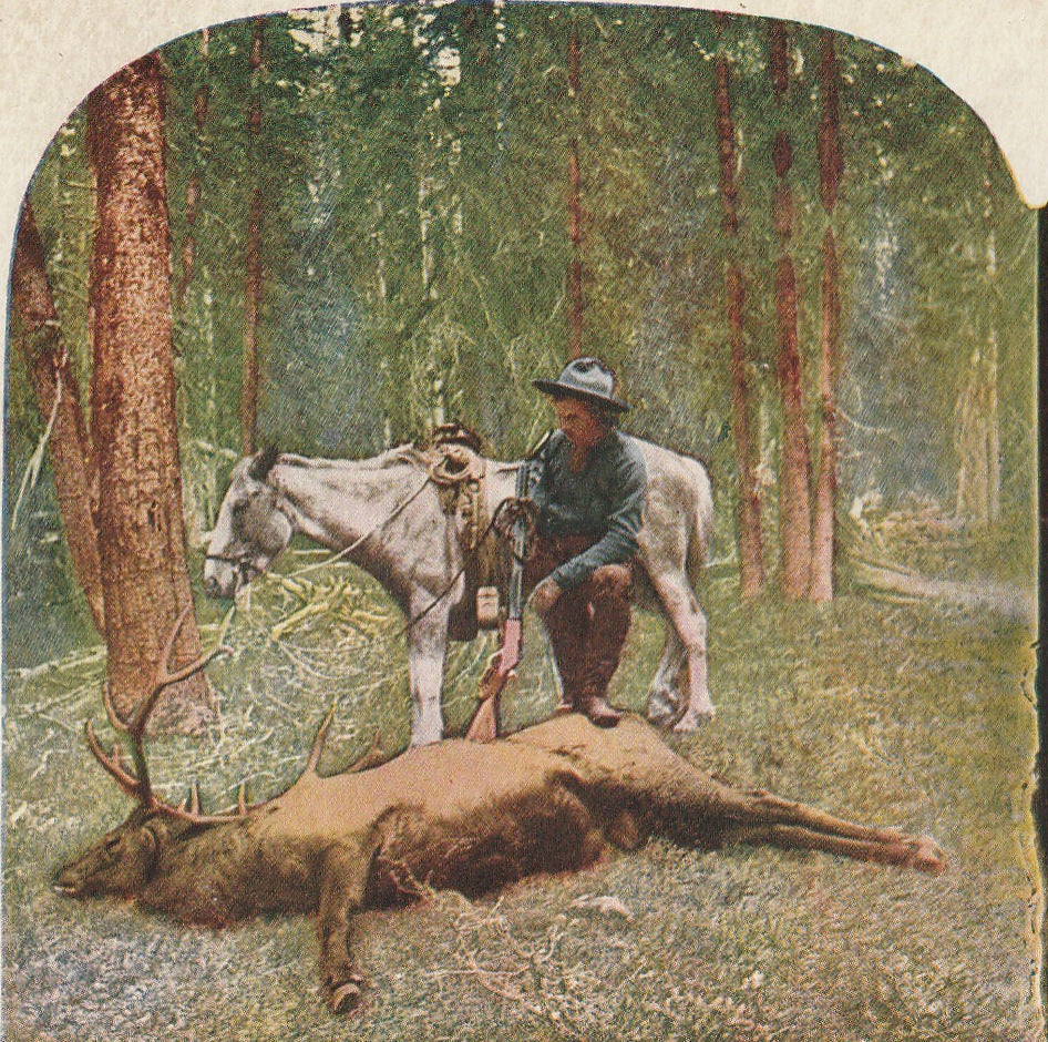 First Day's Luck, Sorry I Killed Him - Stereoview Card, c. 1900s - Close Up