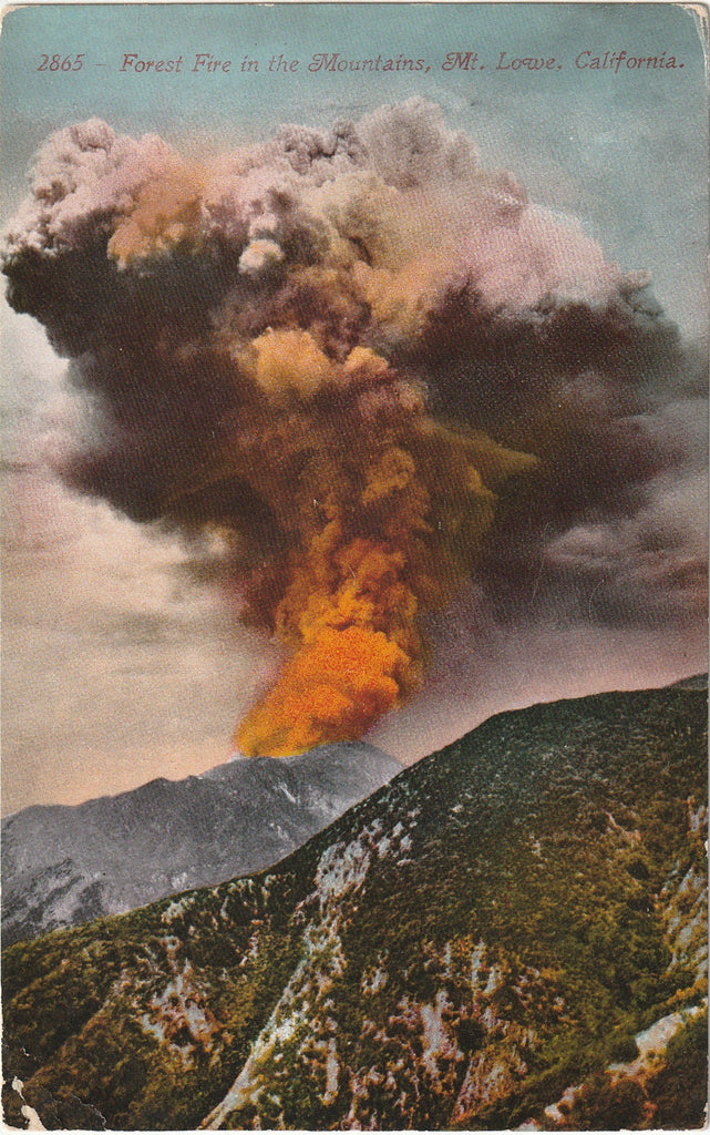 Forest Fire in the Mountains - Mt. Lowe, California - Natural Disaster - Postcard, c. 1910s