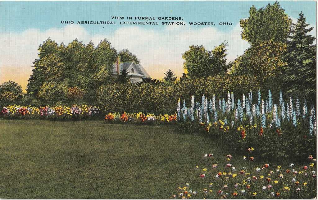 Formal Gardens - Ohio Agricultural Experimental Station - Wooster, OH - Postcard, c. 1930s