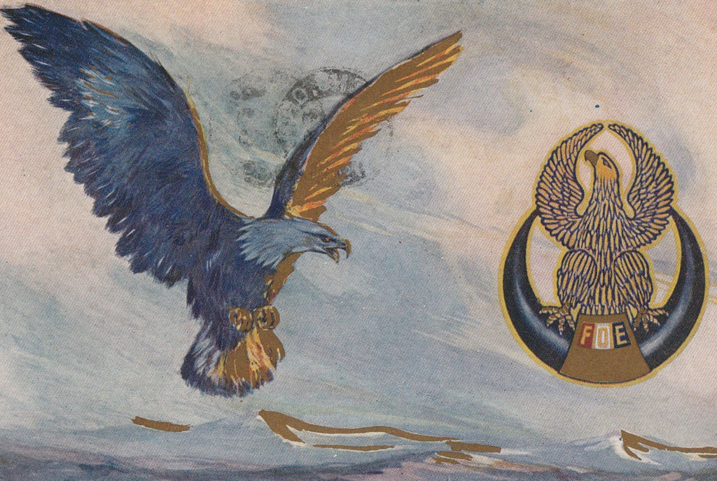 Fraternal Order of Eagles F.O.E. Postcard Close Up