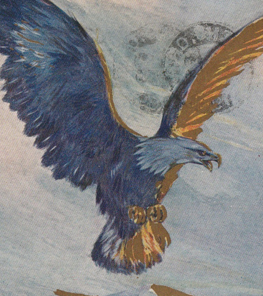 Fraternal Order of Eagles F.O.E. Postcard Close Up 2
