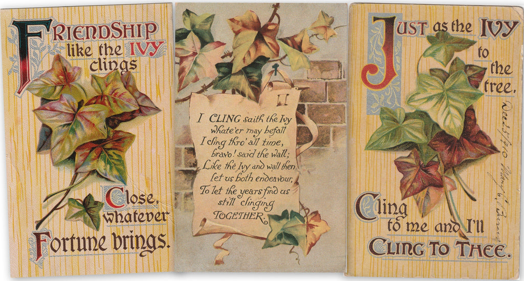 Friendship Ivy Antique Postcards
