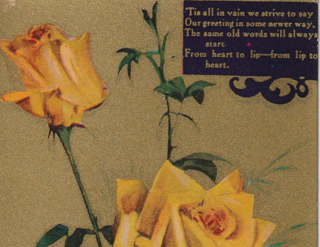 Edwardian Yellow Rose Greeting Postcard Close Up 2