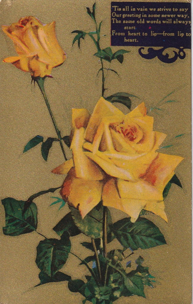 Edwardian Yellow Rose Greeting Postcard