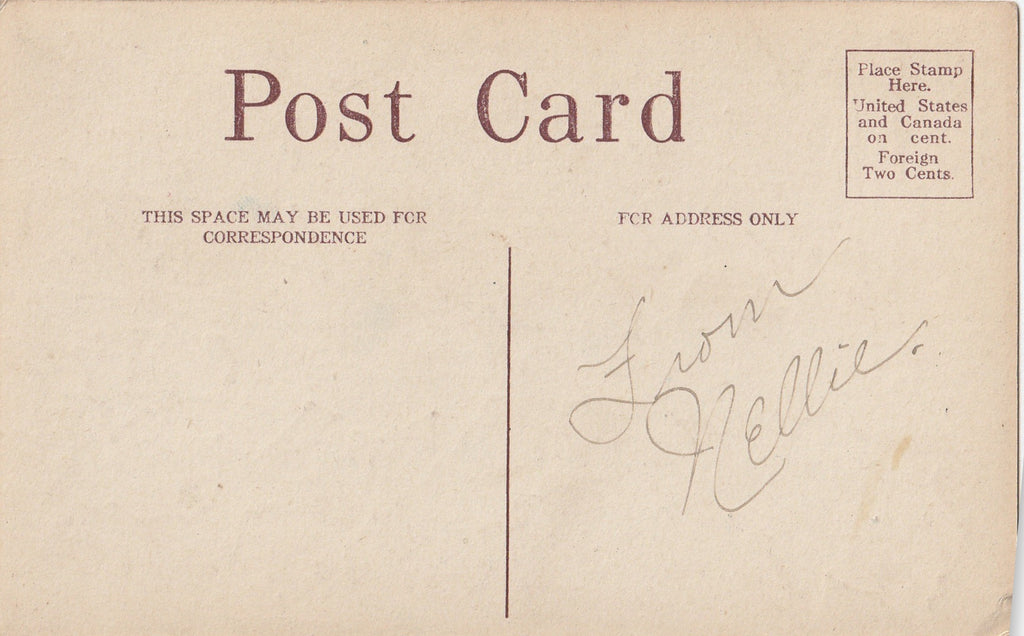 Edwardian Yellow Rose Greeting Postcard Back