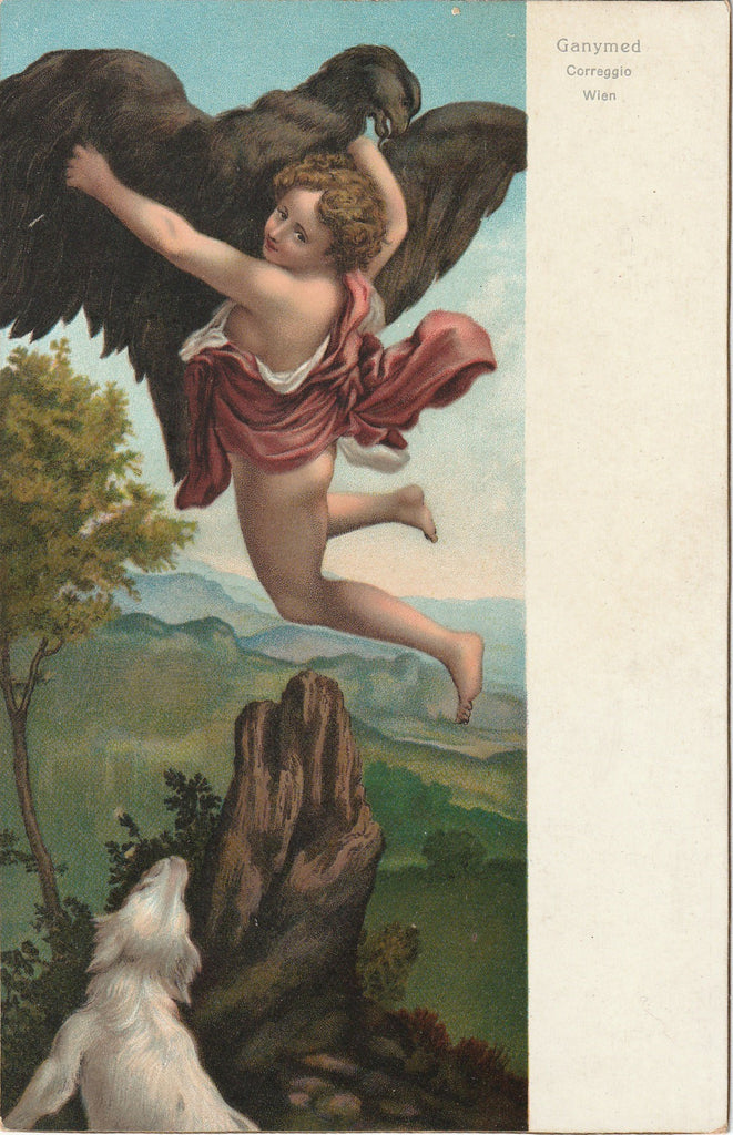 Ganymede Abducted by the Eagle - Antonio da Correggio - Vienna, Austria - Art Postcard, c. 1900s