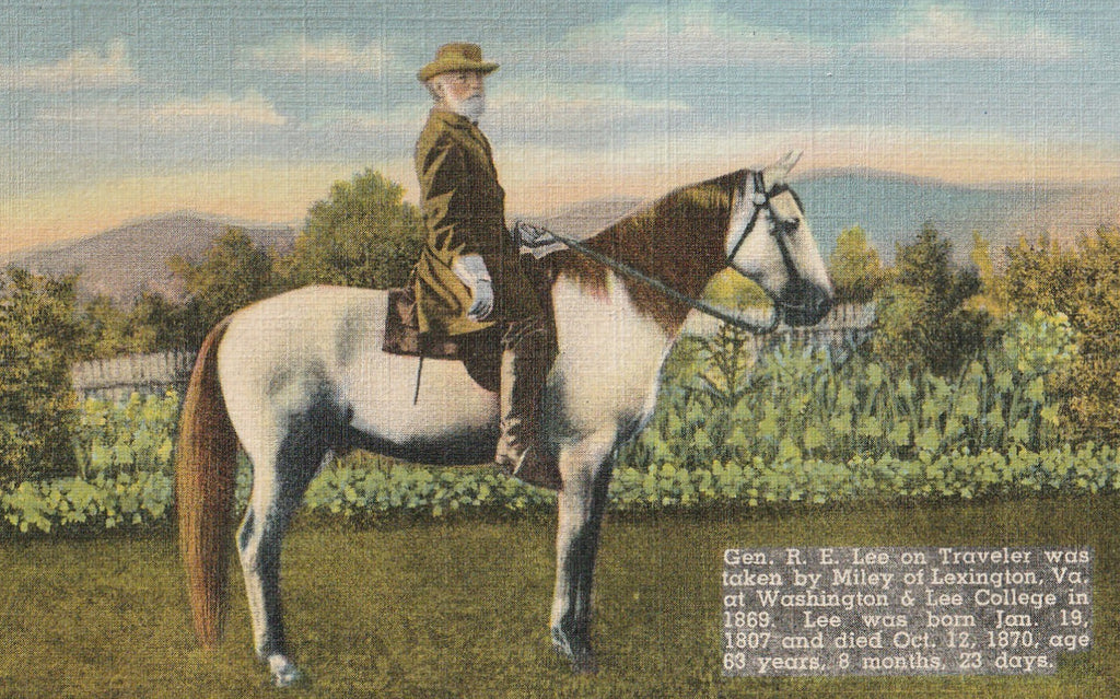 Gen. Robert E Lee on Traveler Vintage Gettysburg Postcard Close Up