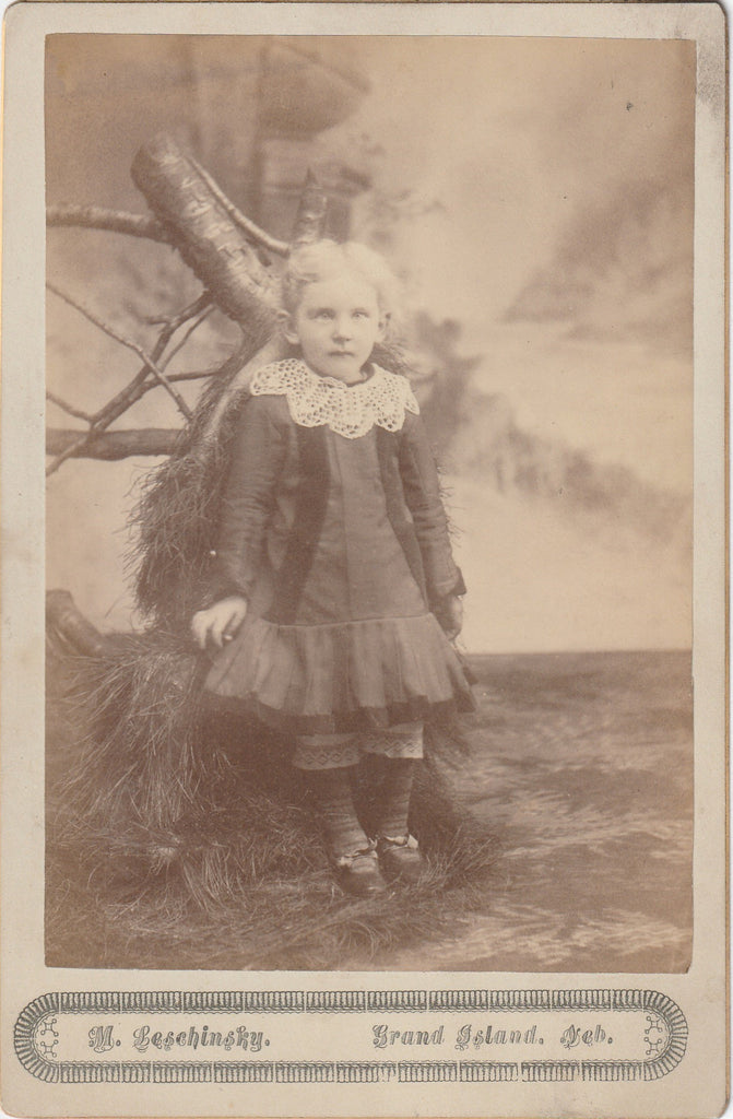 Ghostly Victorian Child Photo