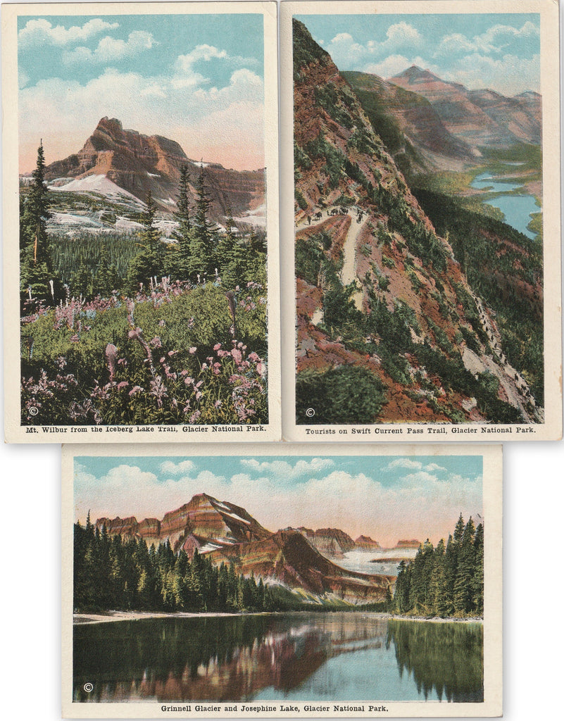  Glacier National Park Montana SET of 3 Postcards