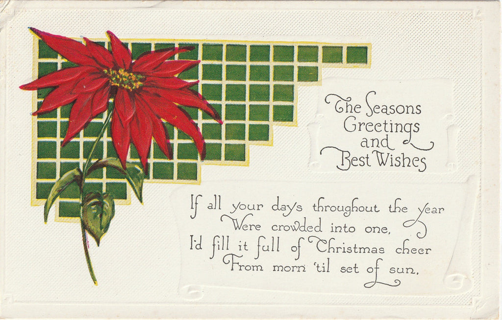Poinsettia Postcard 1920s