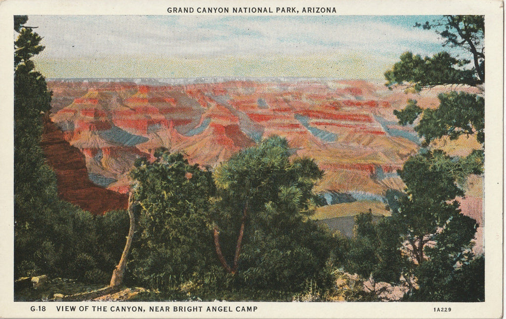 Grand Canyon Near Bright Angel Camp Arizona Postcard