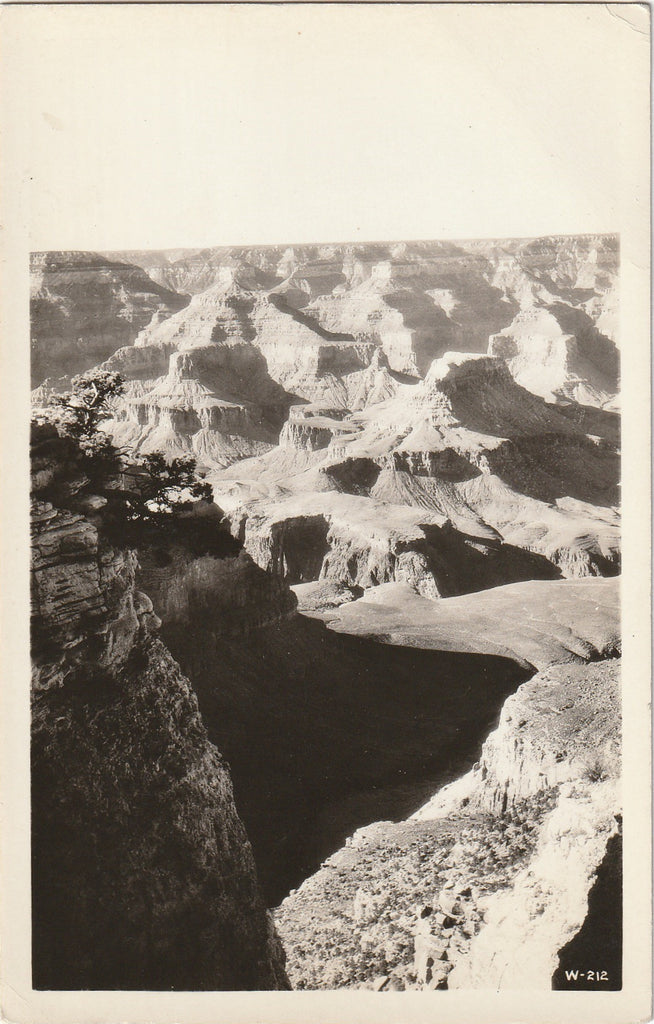 Grand Canyon, Arizona - RPPC, c. 1940s
