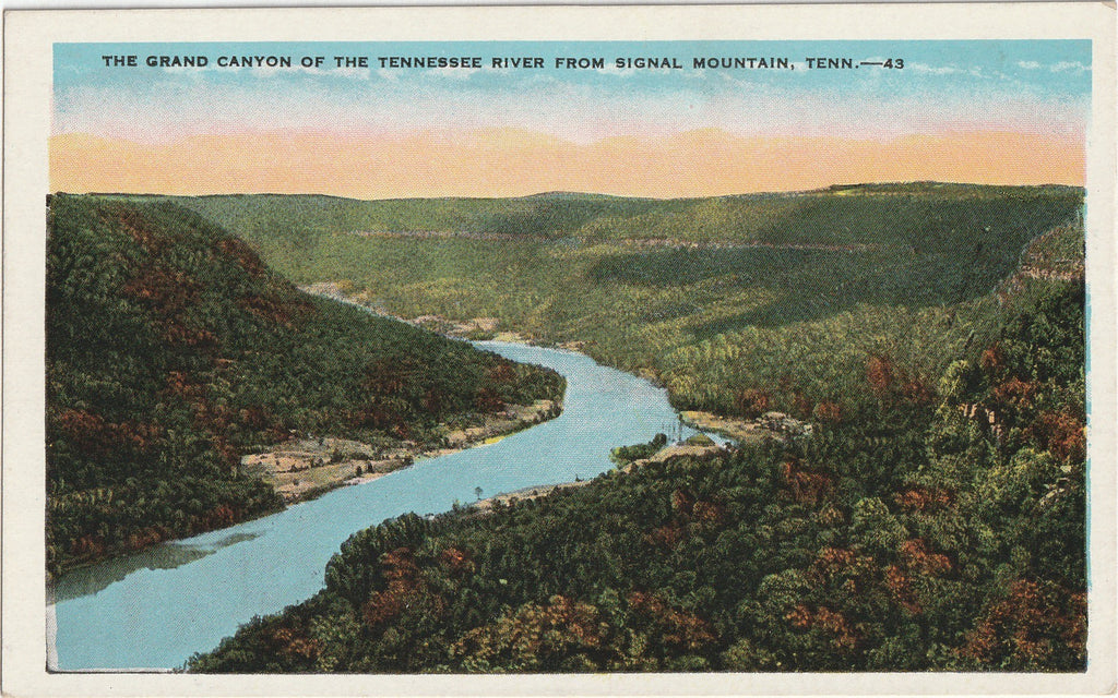 Grand Canyon of the Tennessee River - Signal Mountain, TN - Postcard, c. 1920s