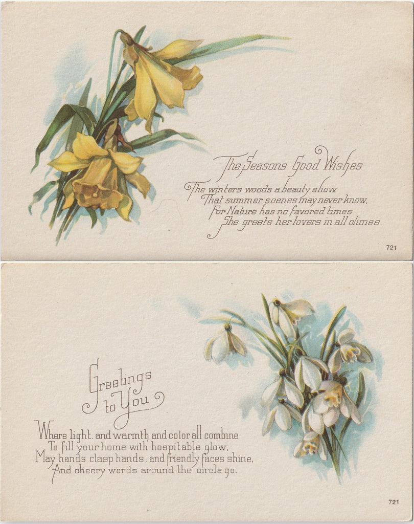 Seasons Greetings Daffodils Snowdrops Antique Postcards