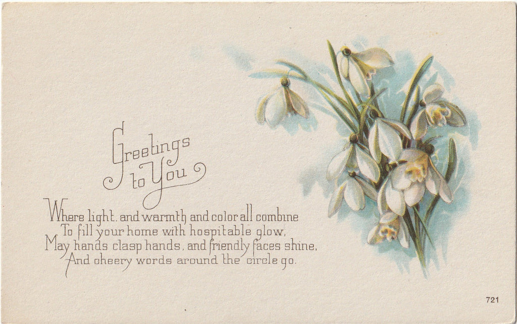 Greetings To You Snowdrops Antique Postcard