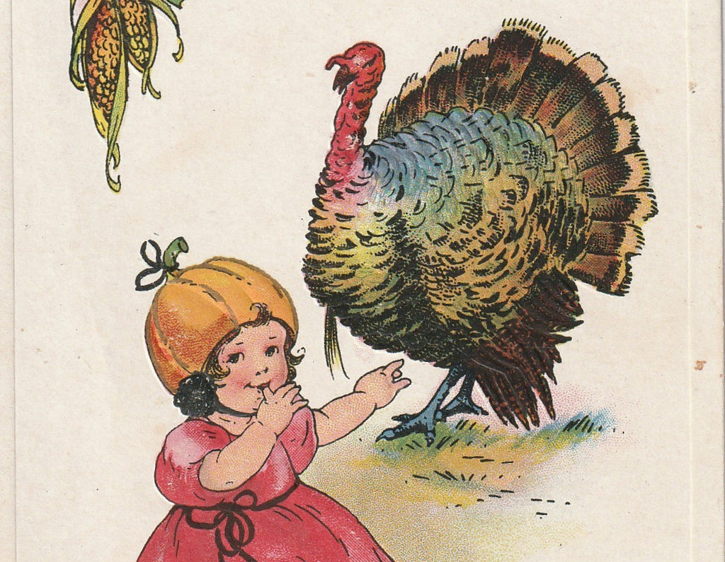 Greetings on Thanksgiving Day Postcard Close Up