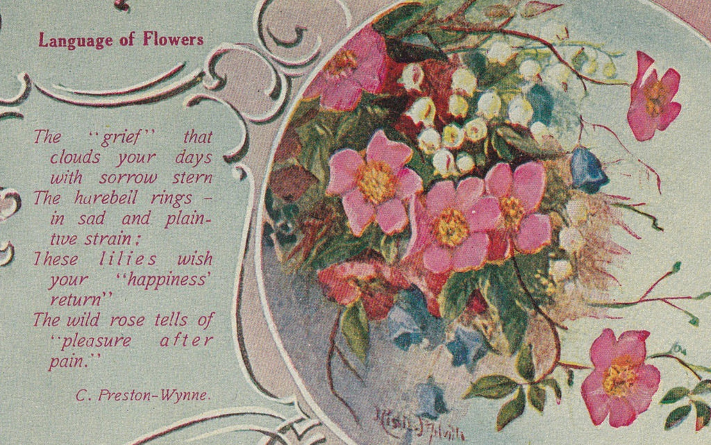 Grief That Clouds Your Days Flower Language Postcard Close Up
