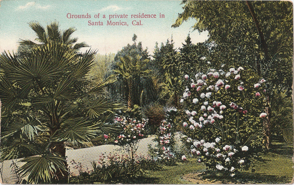 Grounds of Private Residence Santa Monica California Postcard