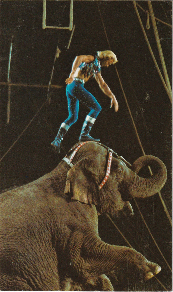 Gunther Gebel-Williams Ringling Bros. Barnum & Bailey Circus Postcard