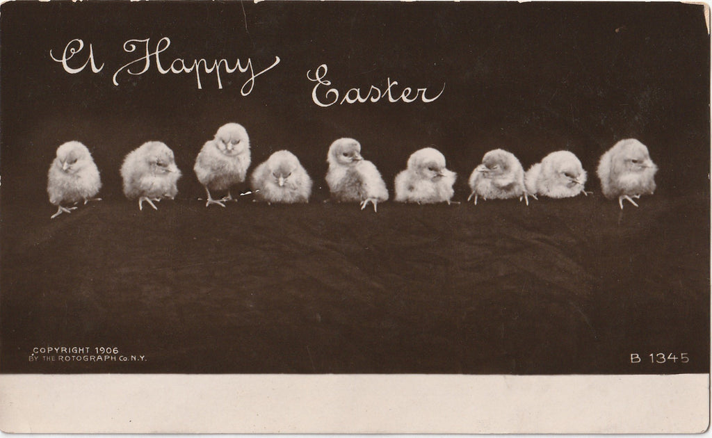 Happy Easter Chicks - Rotograph Co. - RPPC, c. 1906