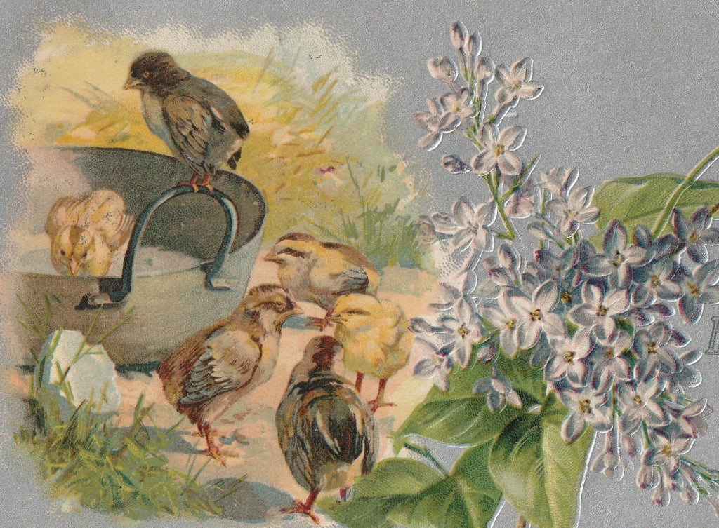 Happy Easter Chicks Antique Postcard Close Up
