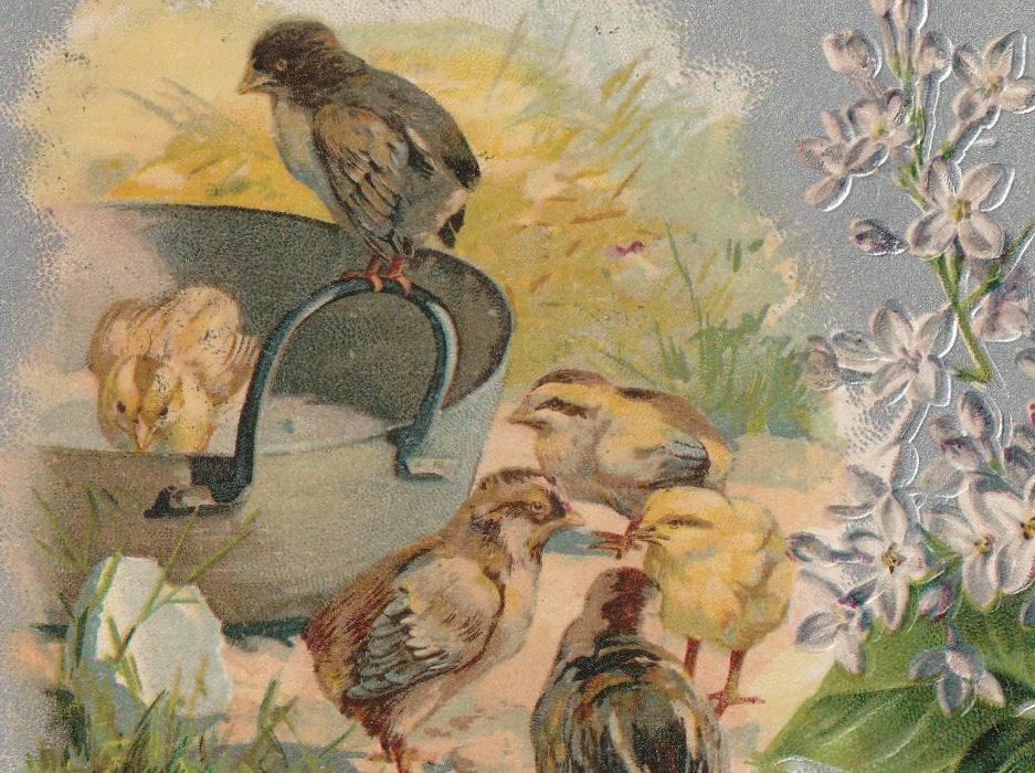 Happy Easter Chicks Antique Postcard Close Up 2