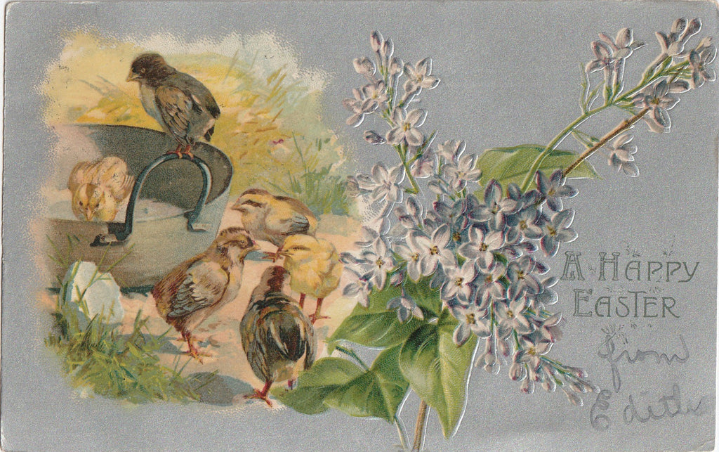 Happy Easter Chicks Antique Postcard