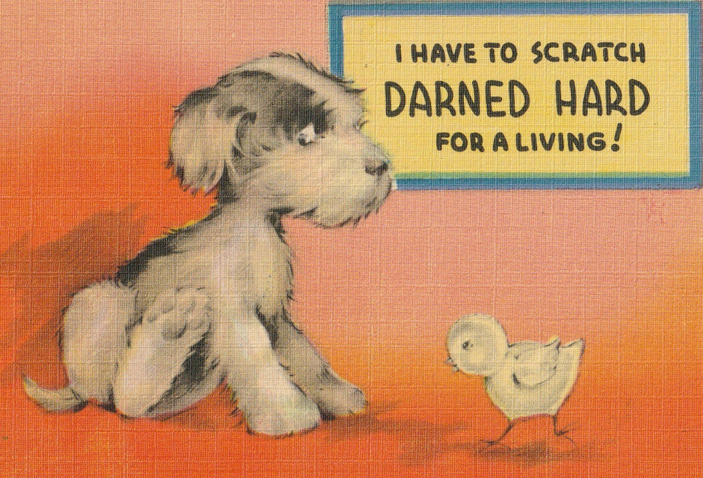 Have To Scratch Darned Hard For A Living Postcard Close Up