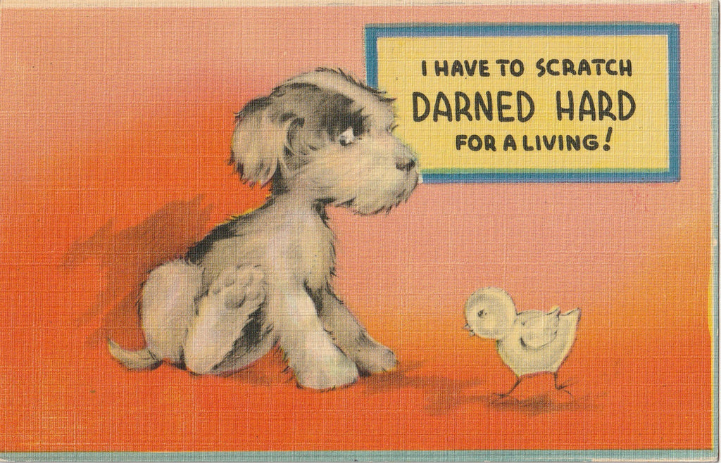 Have To Scratch Darned Hard For A Living Postcard