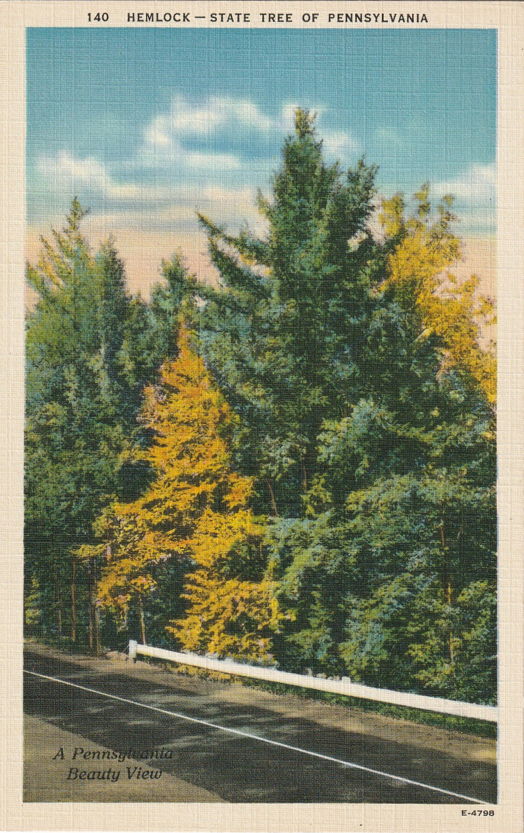 Hemlock - SET of 2 - Pennsylvania State Tree - Postcards, c. 1940s ...