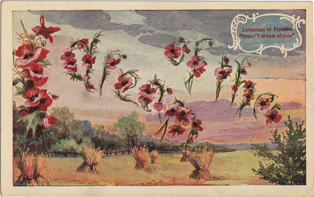I Dream of Thee - Poppies - Language of Flowers - Antique Postcard, c. 1910s