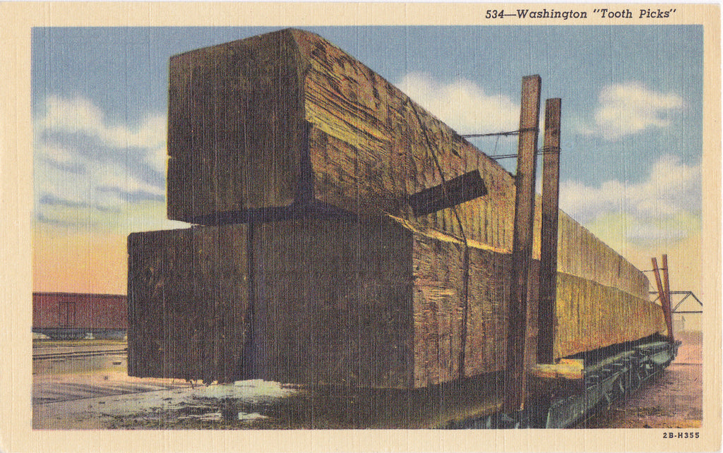 Washington Tooth Picks- 1940s Vintage Postcard- Spruce Lumber- Giant Timbers- Logging Industry- Souvenir- Unused
